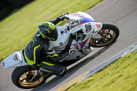 PJ-Motorsport-2019;anglesey-no-limits-trackday;anglesey-photographs;anglesey-trackday-photographs;enduro-digital-images;event-digital-images;eventdigitalimages;no-limits-trackdays;peter-wileman-photography;racing-digital-images;trac-mon;trackday-digital-images;trackday-photos;ty-croes